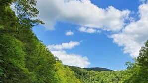 A river surrounded by dense green forest under a partly cloudy sky. - Riverside Retreat  (Elkins)