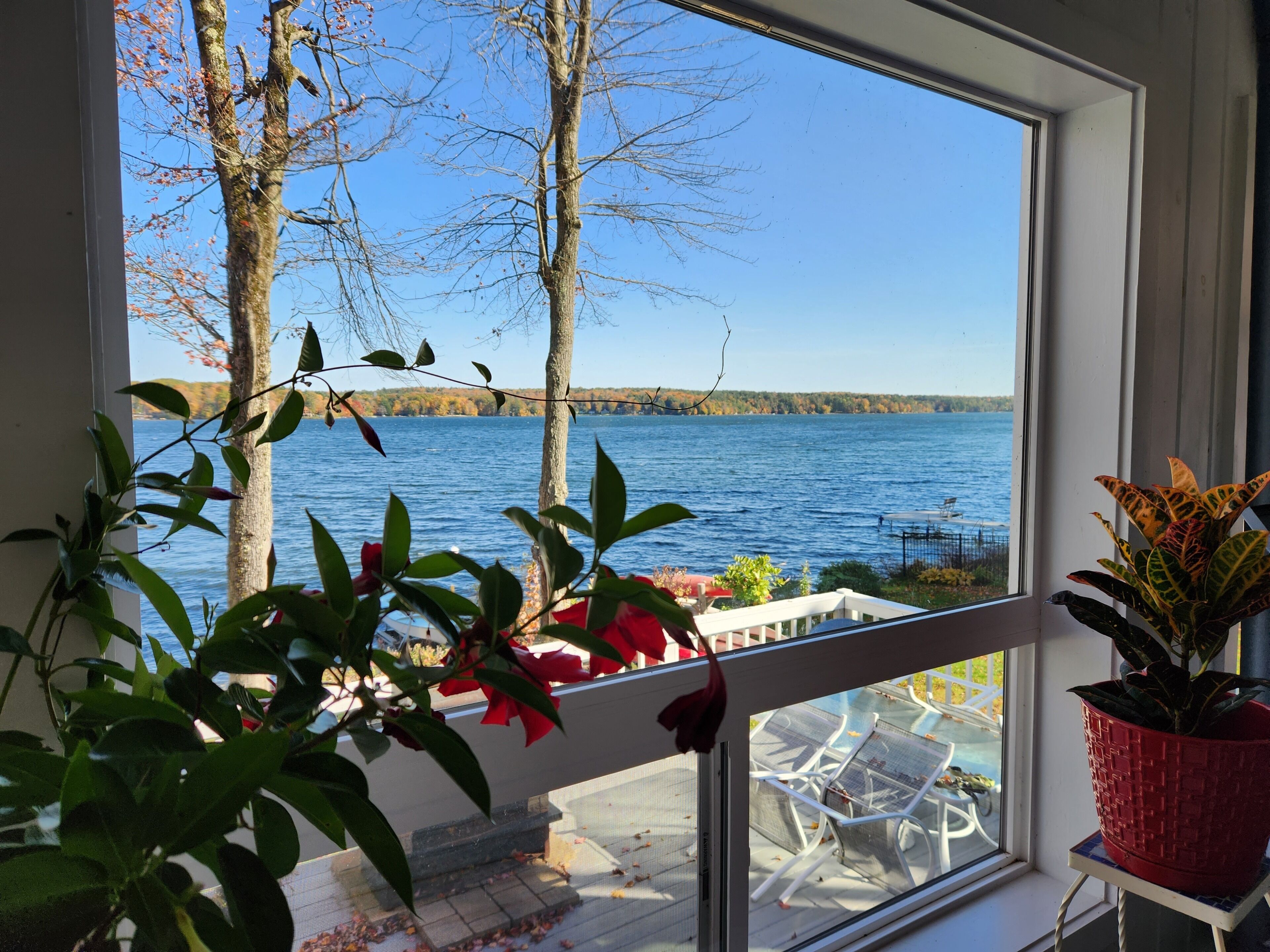 A window with a view of a lake, a chair, and a potted plant.