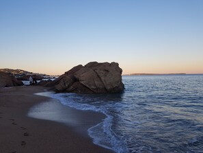 بالقرب من الشاطئ