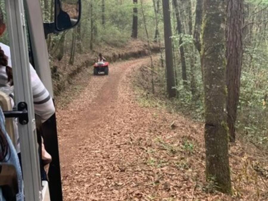 Ecotours