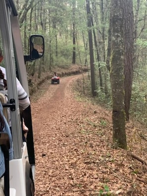 Ecotours - Cabañas Zacatlan (Zacatlán)