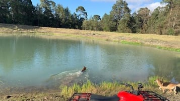Lake