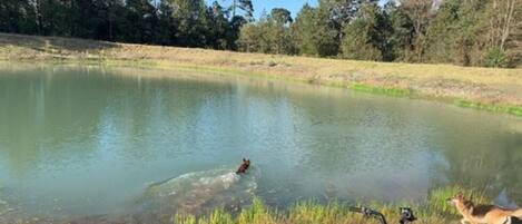 Lago