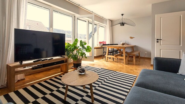 Una sala de estar moderna con un televisor de pantalla plana, una mesa de centro, una planta en maceta y una alfombra a rayas.