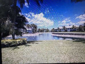 Enjoy serene lakeside views from a tranquil grassy area surrounded by trees and water.