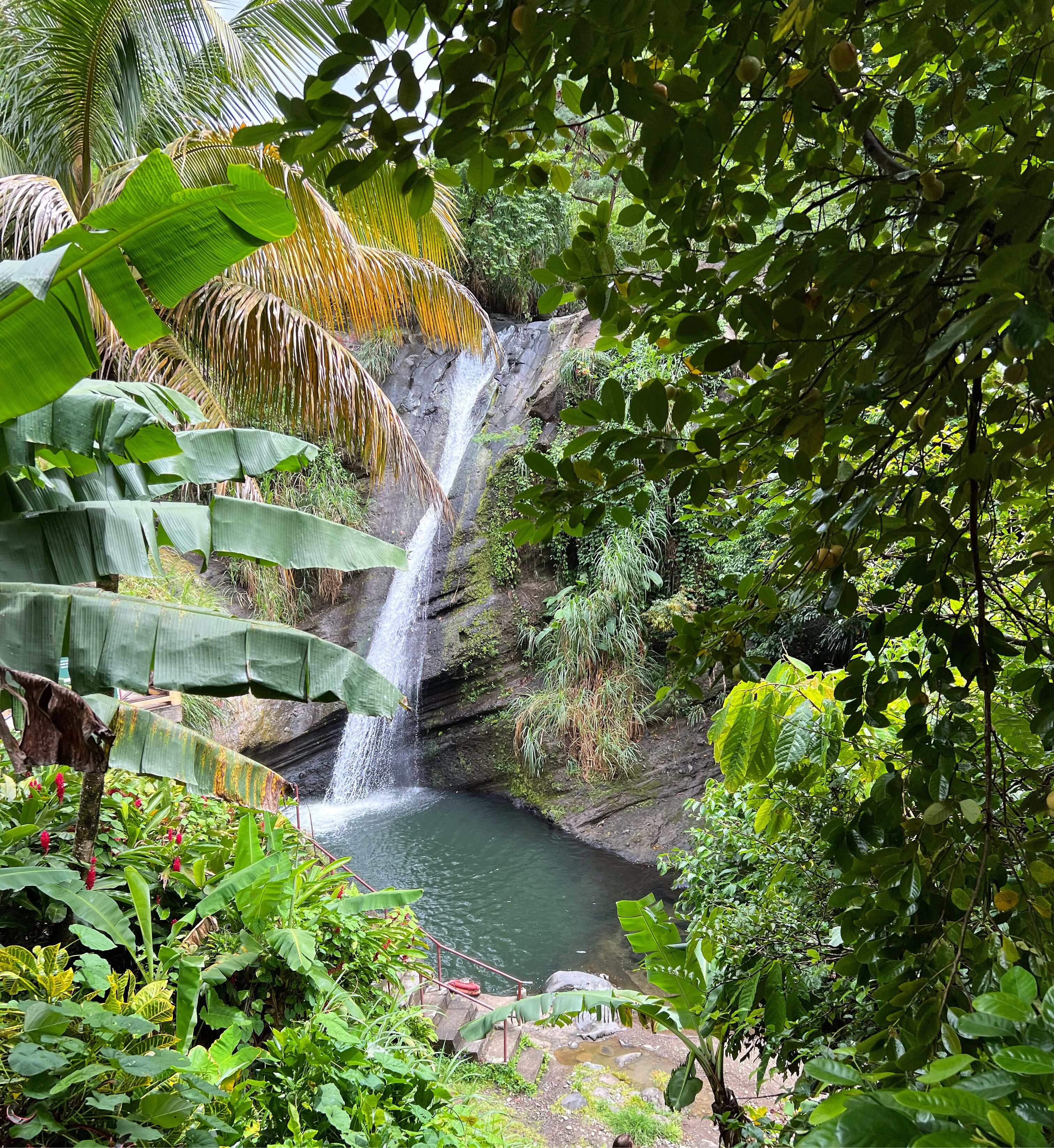 A waterfall cascading into a pool surrounded by lush greenery and banana plants.
