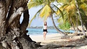Escena de playa con un tronco grande al frente, palmeras y una persona caminando sobre la arena.