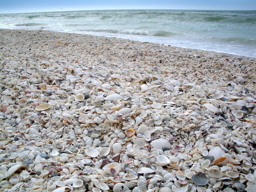 Beach nearby, sun-loungers, beach towels