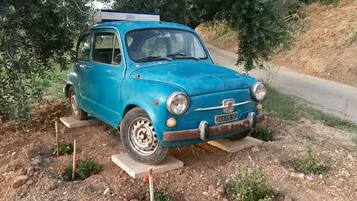 Parco della struttura