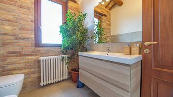 Shower, hair dryer, bidet, towels