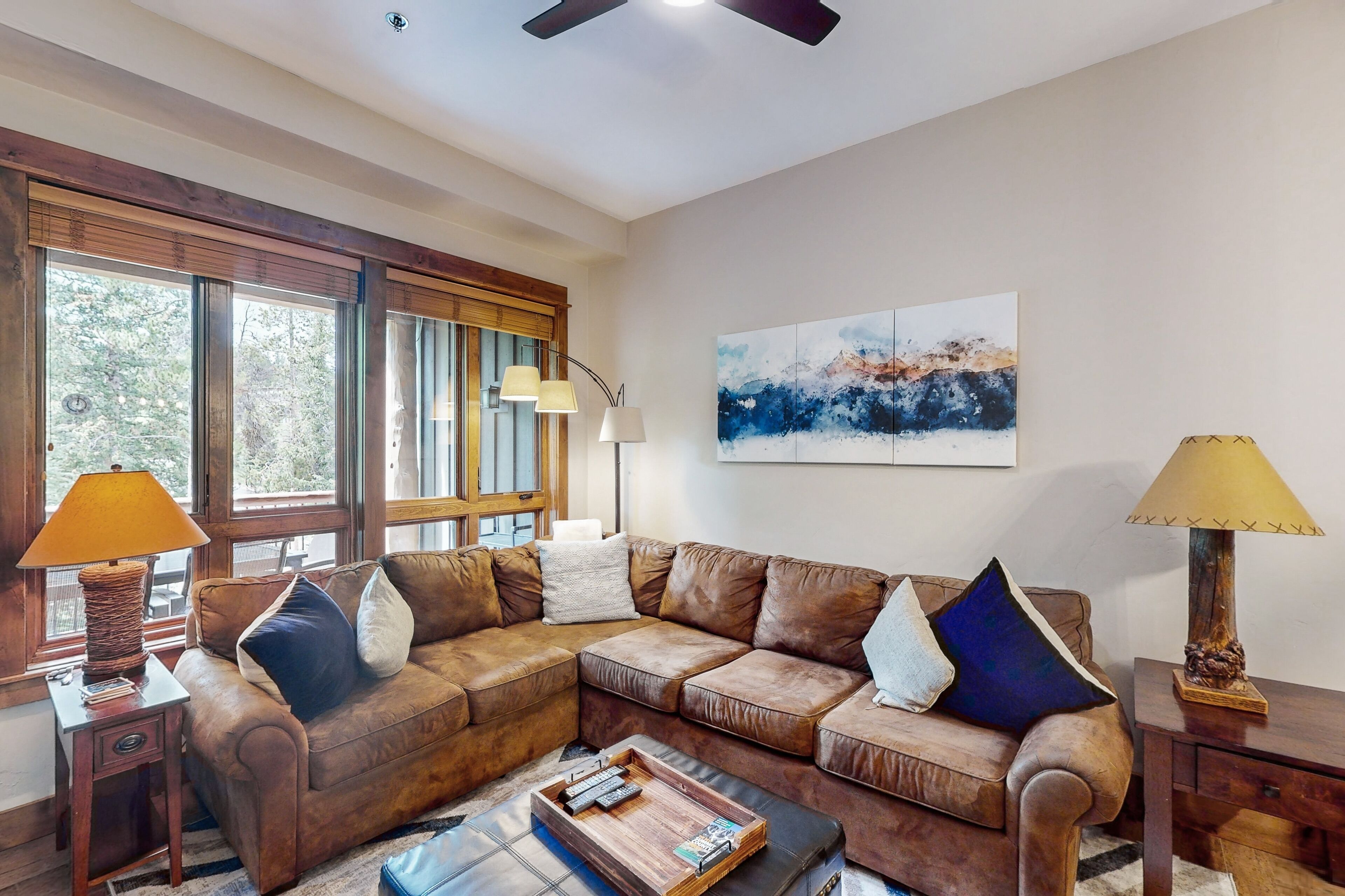 TV, peis, DVD-spiller og bordtennis