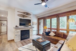 TV, fireplace, DVD player, ping pong