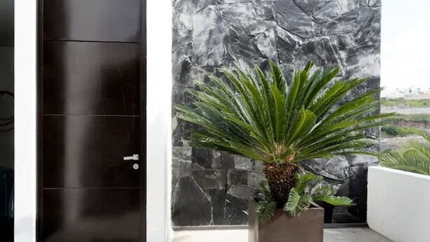 Una habitación moderna con una puerta de madera oscura, una pared de piedra y una planta en maceta.