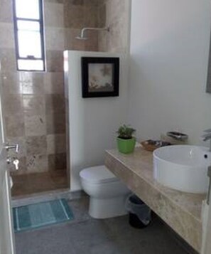 A bathroom with a shower, toilet, sink, and a small green plant on the counter.