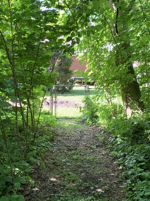 Property grounds - Melodic Forest~Hot Tub, Forest, Music Studio, Wineries, Erie & Cleveland (Perry)