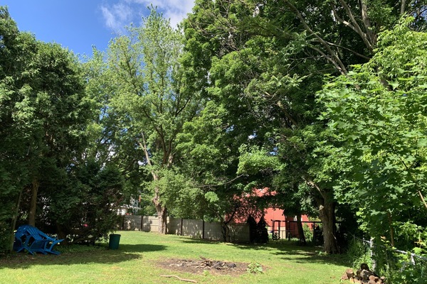 Parco della struttura