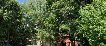 Melodic Forest~Hot Tub, Music Studio, Close to Wineries, Erie & Cleveland