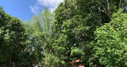 Melodic Forest~Hot Tub, Music Studio, Close to Wineries, Erie & Cleveland