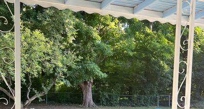 Melodic Forest~Hot Tub, Forest, Music Studio, Wineries, Erie & Cleveland