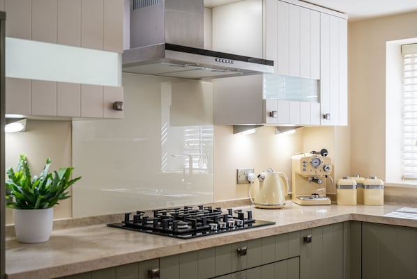 Fridge, oven, stovetop, dishwasher