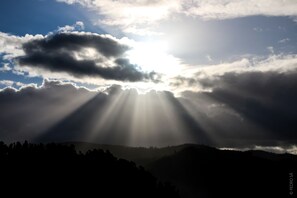 Photo non classée, 3 sur 16, bouton