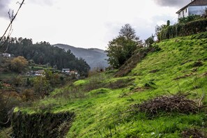 Terrain de l’hébergement 