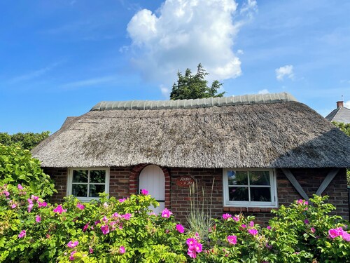 Fischer-Hütte Westerland