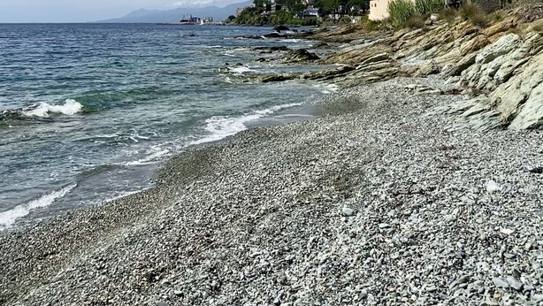 A pebble beach with a rocky shoreline, clear blue sky, and distant buildings. - Maison au Centre de Pietranera. Premier Étage (San-Martino-di-Lota)