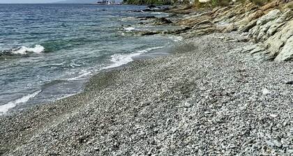 Maison au Centre de Pietranera. Premier Étage