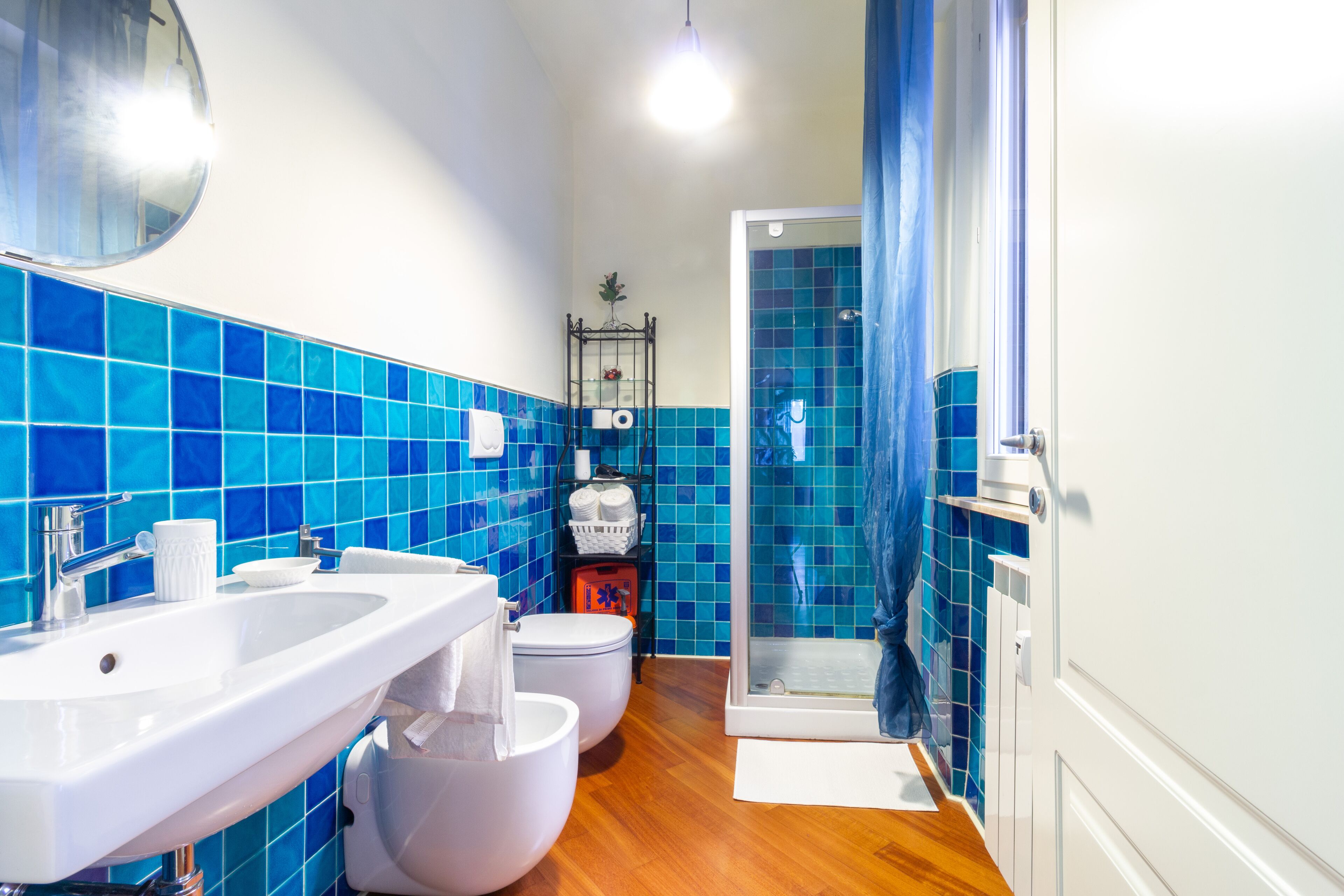 Shower, hair dryer, bidet, towels