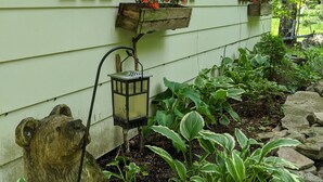 A house with a number '224' on the wall, wooden shutters, flower boxes on the windows, a bear-shaped lantern, and a garden with plants and rocks. - Charming 2 Bedroom Lakefront Cottage in the Catskill Mountains (Roscoe)