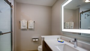 A modern bathroom with a glass shower enclosure, a white sink with a large mirror, and two towel racks on the wall. - Holiday Inn Express & Suites Deland South by IHG (DeLand)