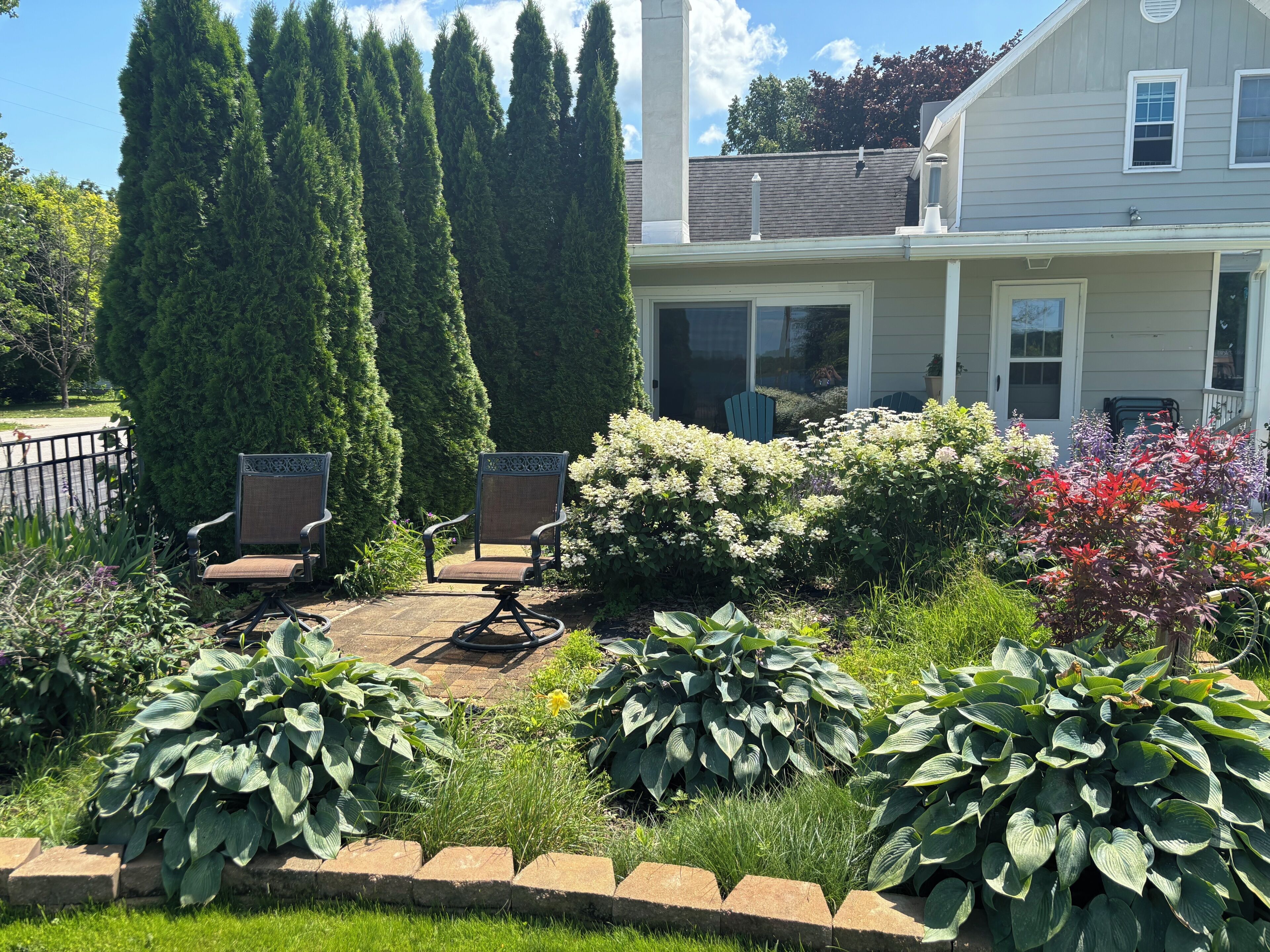 A residential backyard with a patio, two chairs, a variety of plants, and a tall tree.