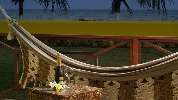 Una hamaca con una botella de champán y una copa, frente a una playa y palmeras.