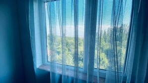 Ein Fenster mit durchsichtigen Vorhängen und Blick auf eine grüne Landschaft.