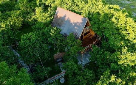 An aerial view of a house surrounded by dense green foliage, with a visible wooden deck and a stone pathway leading to the entrance.