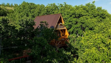 A wooden cabin with a sloped roof, surrounded by dense green foliage.