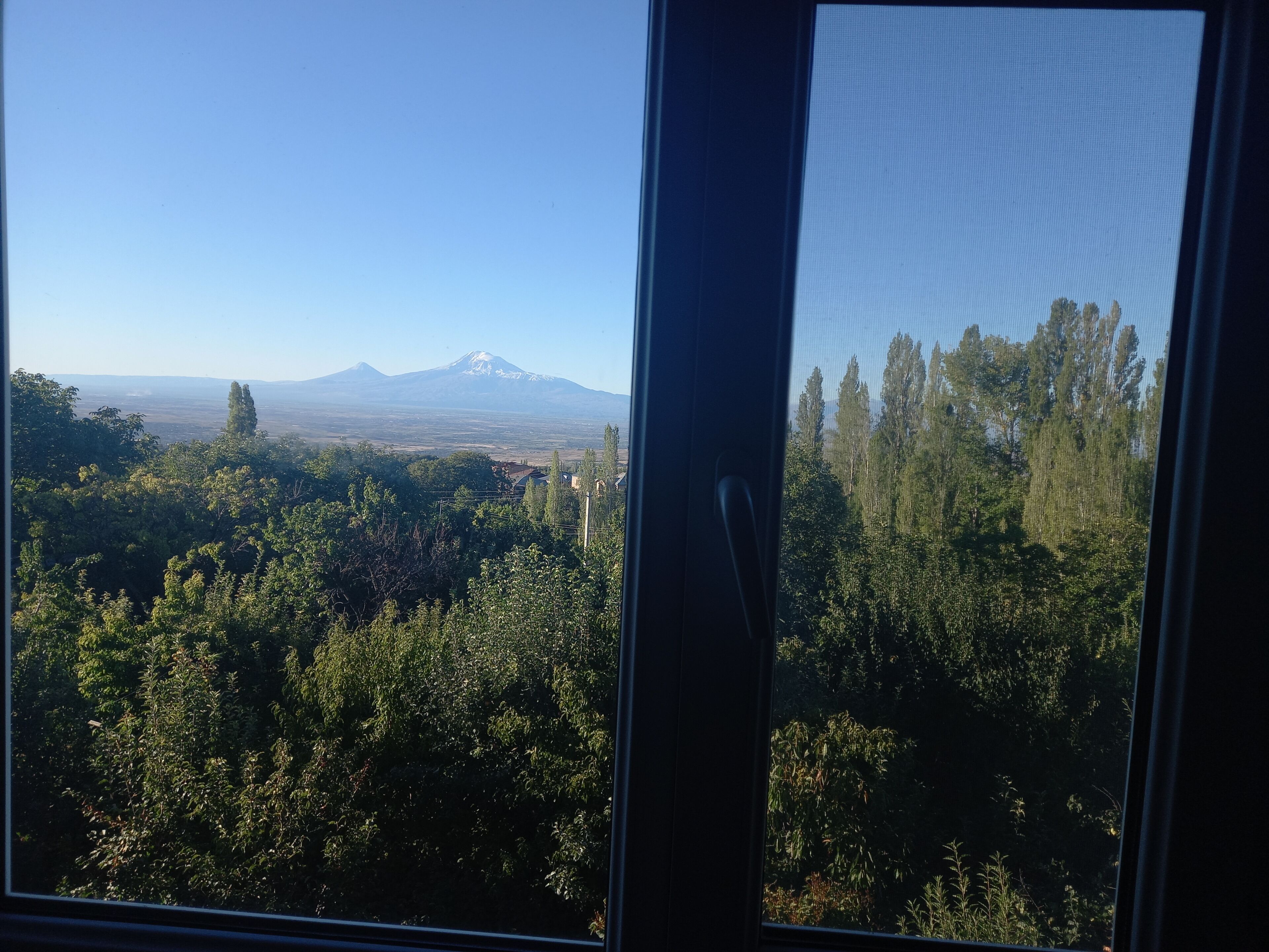 A view through a window of a forested area with a mountain in the distance.