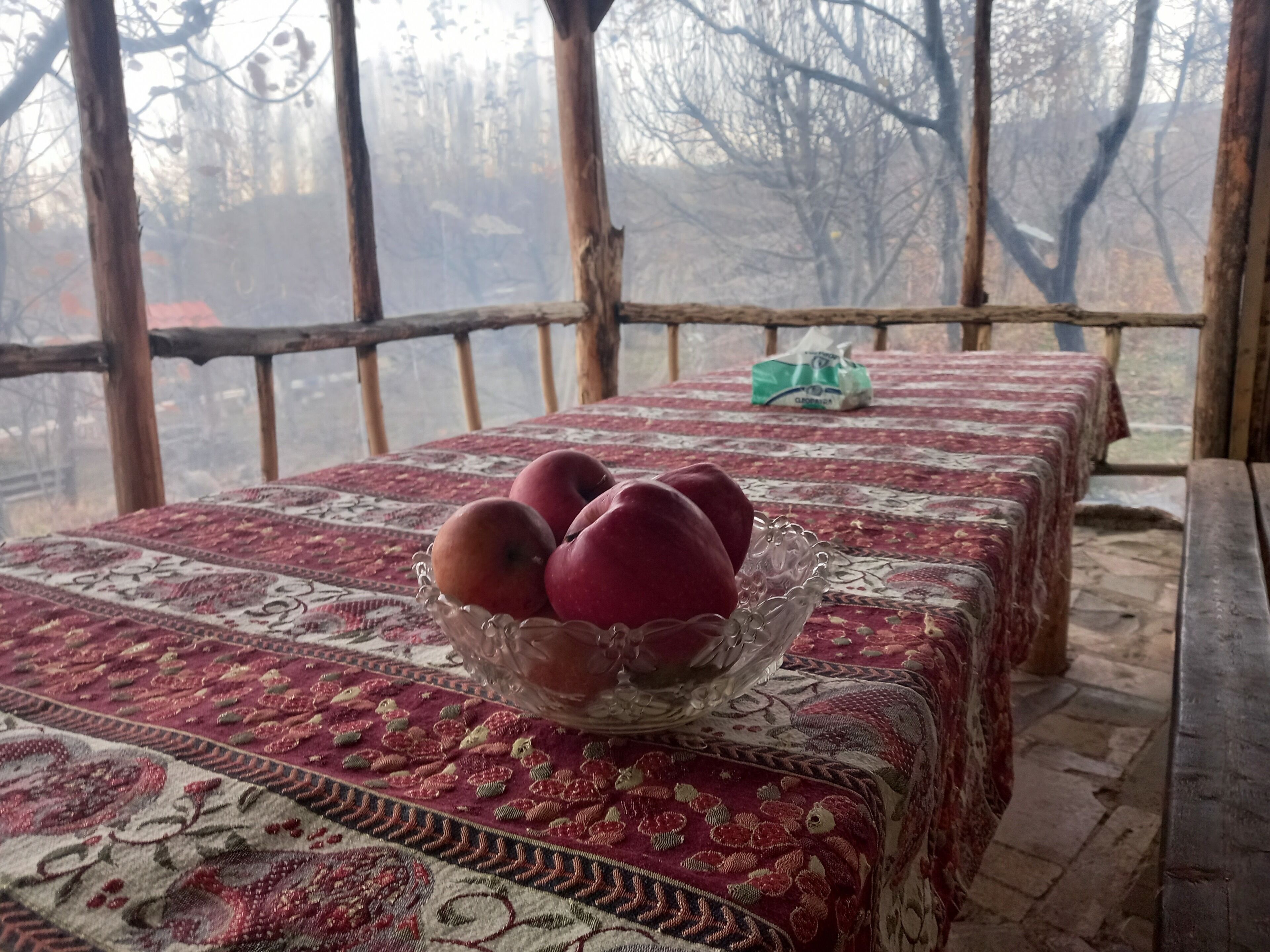A room with a table covered by a patterned tablecloth, a glass bowl with fruits, and a view of trees through a window.