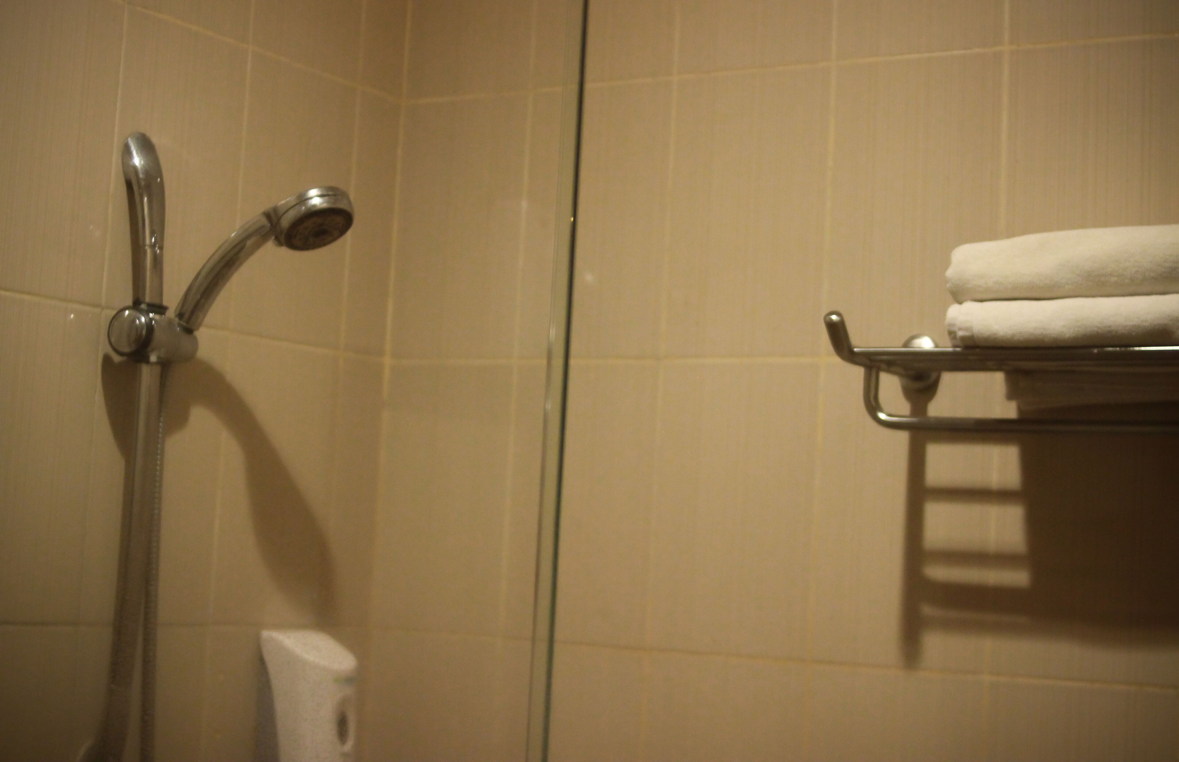 Eine Dusche mit Duschbrause und Handtuchhalter mit gefalteten Handtüchern.