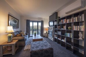 TV, fireplace, books