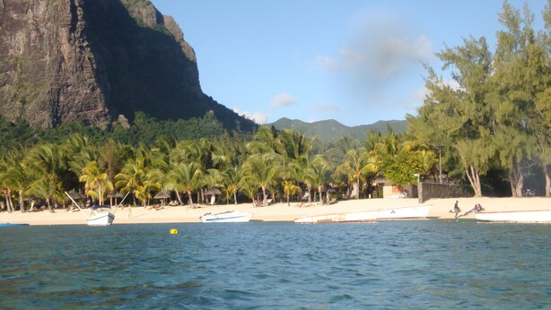 A beach with palm trees, a boat, and a mountain in the background. - 45C Coco Canopy Sea views Hiking Kiting Beaches Adventure (La Gaulette)
