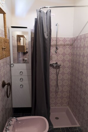 Shower, hair dryer, bidet