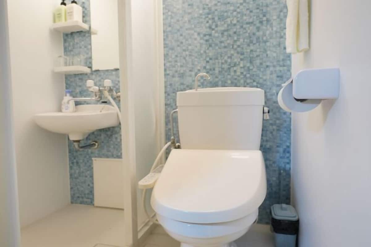 Gratis toiletartikelen, een haardroger, pantoffels, een bidet