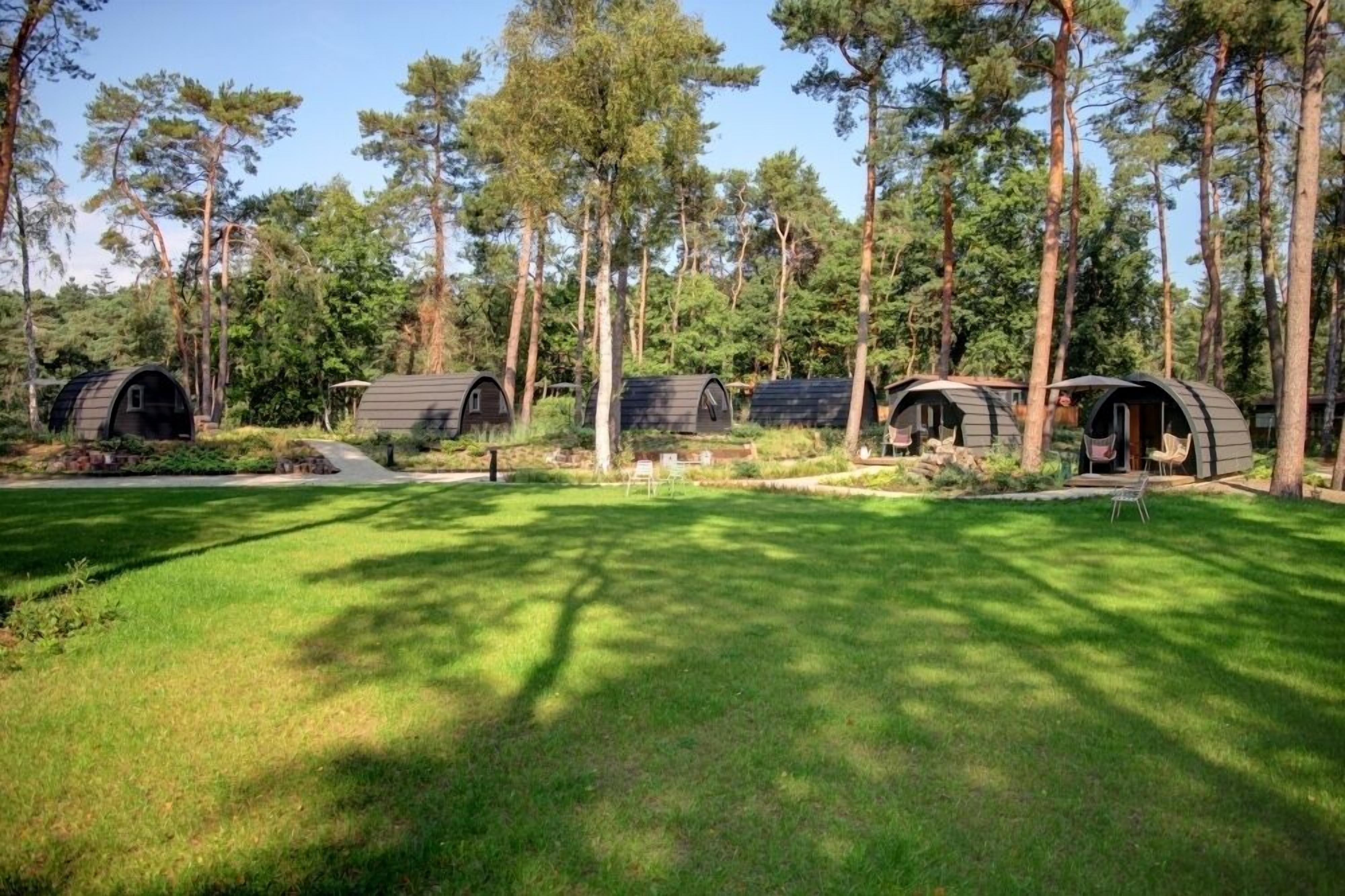 A row of treehouse-style cabins in a forested area with a well-maintained lawn.