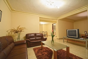 29-inch TV with satellite channels - Naguru Apartments (Kampala)
