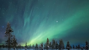 Snowshoeing - Arctic Sky Lapland (Sodankyla)