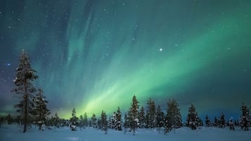 Paseos con raquetas de nieve