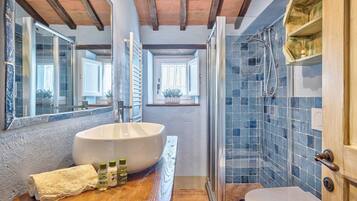 Dusche, Haartrockner, Bidet, Handtücher