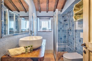 Shower, hair dryer, bidet, towels